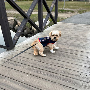 Meet your Posher, Allison